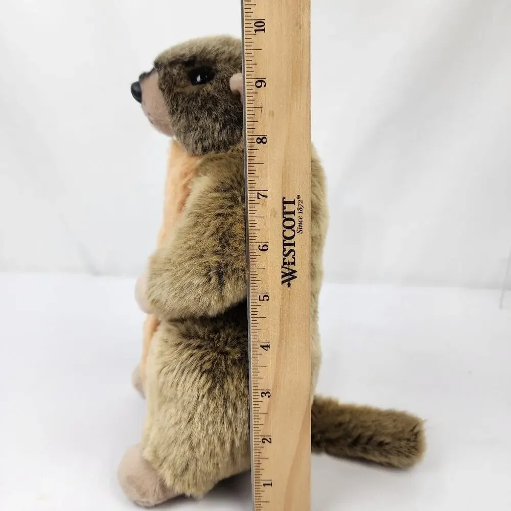 Wildlife Artists Realistic Marmot Groundhog Woodchuck 10